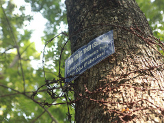 Ảnh bìa bài viết 572347