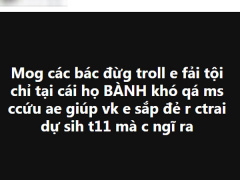 Ảnh bìa bài viết 573124