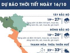 Ảnh bìa bài viết 573310