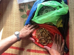 Ảnh bìa bài viết 573693
