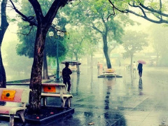 Ảnh bìa bài viết 573974