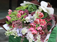 Ảnh bìa bài viết 574060