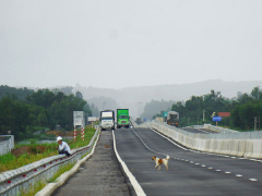 Ảnh bìa bài viết 574167