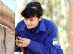 Ảnh bìa bài viết 574234
