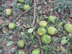 Ảnh bìa bài viết 574400