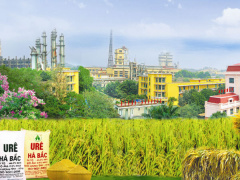 Ảnh bìa bài viết 574843