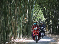 Ảnh bìa bài viết 574776