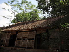 Ảnh bìa bài viết 575340