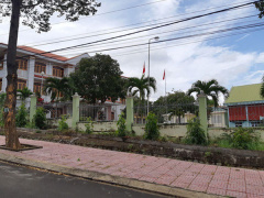 Ảnh bìa bài viết 575324