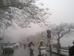 Ảnh bìa bài viết 575536