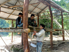 Ảnh bìa bài viết 575965