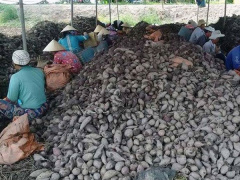 Ảnh bìa bài viết 576396
