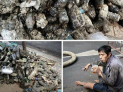 Ảnh bìa bài viết 576755