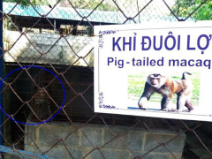 Ảnh bìa bài viết 577080