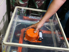 Ảnh bìa bài viết 577120