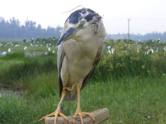 Ảnh bìa bài viết 576909