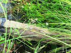 Ảnh bìa bài viết 577192