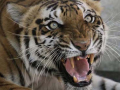 Ảnh bìa bài viết 577641