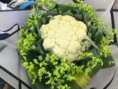 Ảnh bìa bài viết 577479
