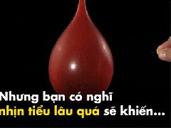 Ảnh bìa bài viết 577880