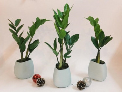 Ảnh bìa bài viết 578309