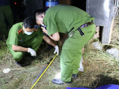 Ảnh bìa bài viết 578656