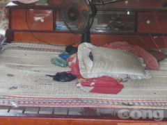 Ảnh bìa bài viết 578758