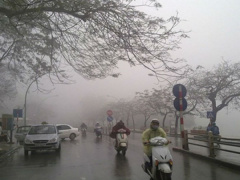 Ảnh bìa bài viết 579113