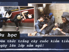 Ảnh bìa bài viết 579091