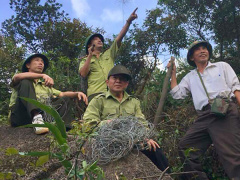 Ảnh bìa bài viết 579264