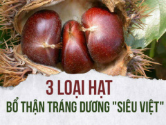 Ảnh bìa bài viết 579314
