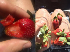 Ảnh bìa bài viết 579467