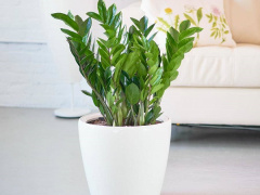 Ảnh bìa bài viết 580024