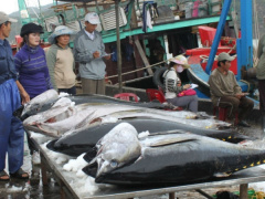 Ảnh bìa bài viết 580246