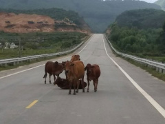 Ảnh bìa bài viết 580345