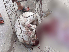 Ảnh bìa bài viết 580487