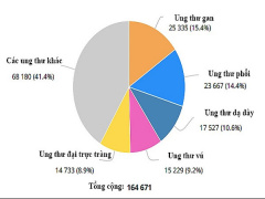 Ảnh bìa bài viết 580482