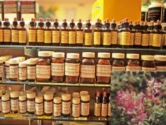 Ảnh bìa bài viết 580463