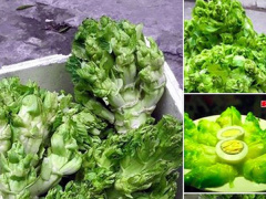 Ảnh bìa bài viết 580579