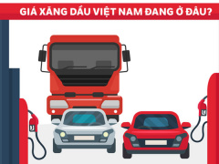 Ảnh bìa bài viết 580958