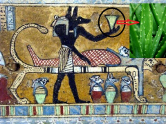 Ảnh bìa bài viết 581247