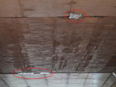 Ảnh bìa bài viết 581260