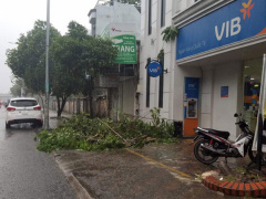 Ảnh bìa bài viết 581965