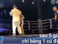 Ảnh bìa bài viết 581951