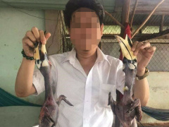 Ảnh bìa bài viết 582385