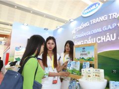 Ảnh bìa bài viết 582361
