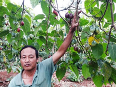 Ảnh bìa bài viết 582894