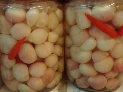 Ảnh bìa bài viết 583190