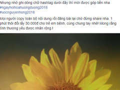 Ảnh bìa bài viết 583251
