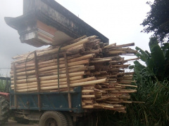 Ảnh bìa bài viết 584057
